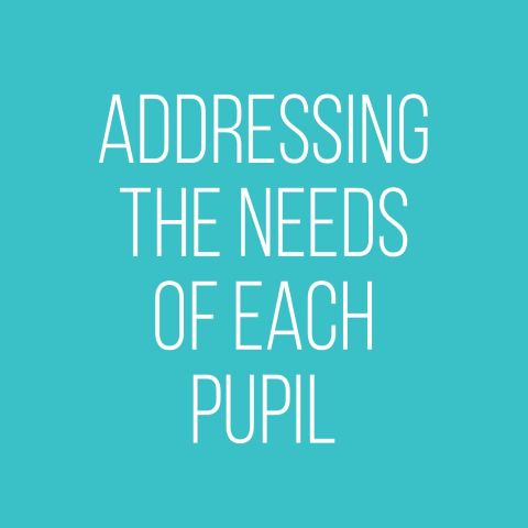 Gatsby Benchmark 3: Addressing the needs of each pupil