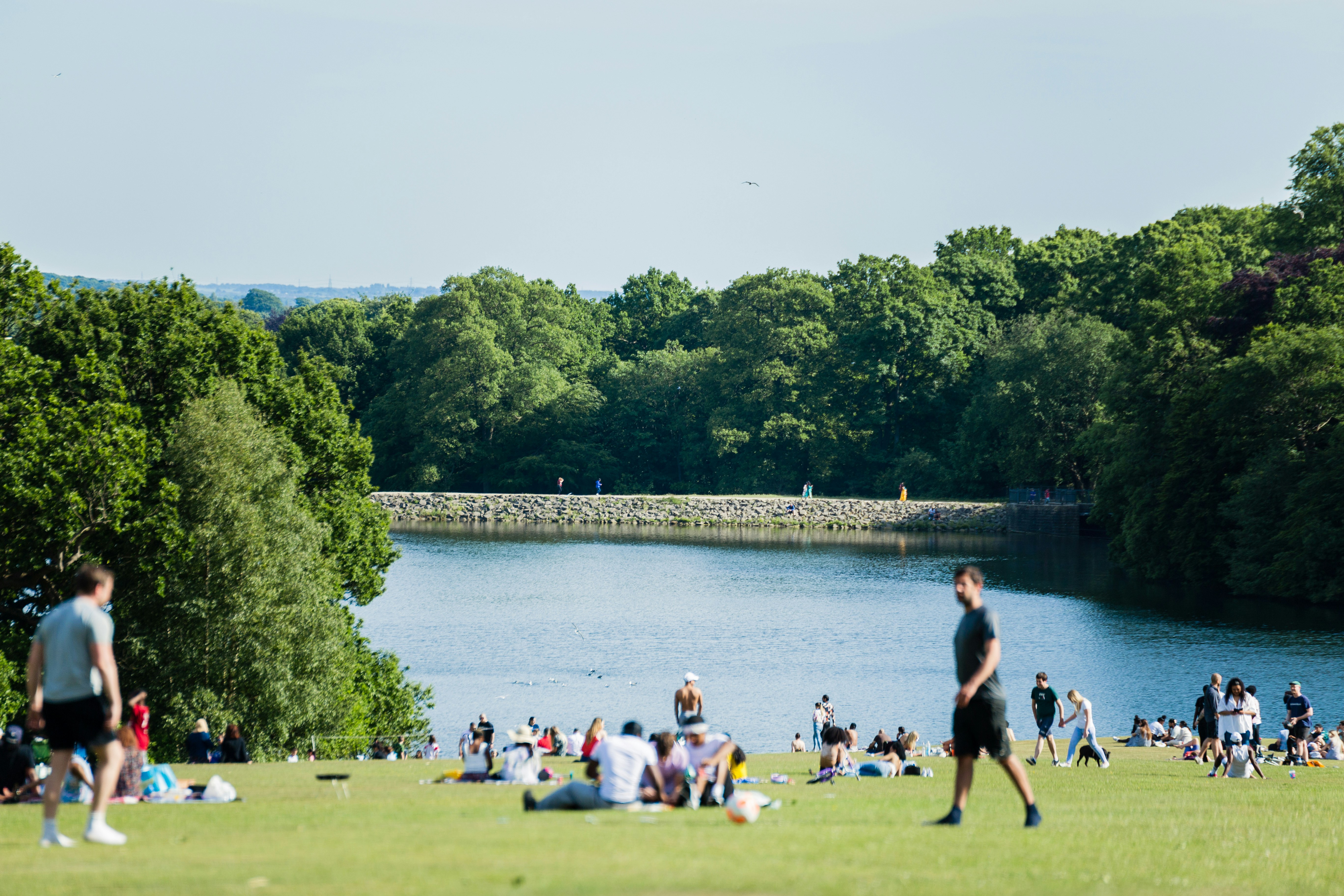Roundhay park leeds