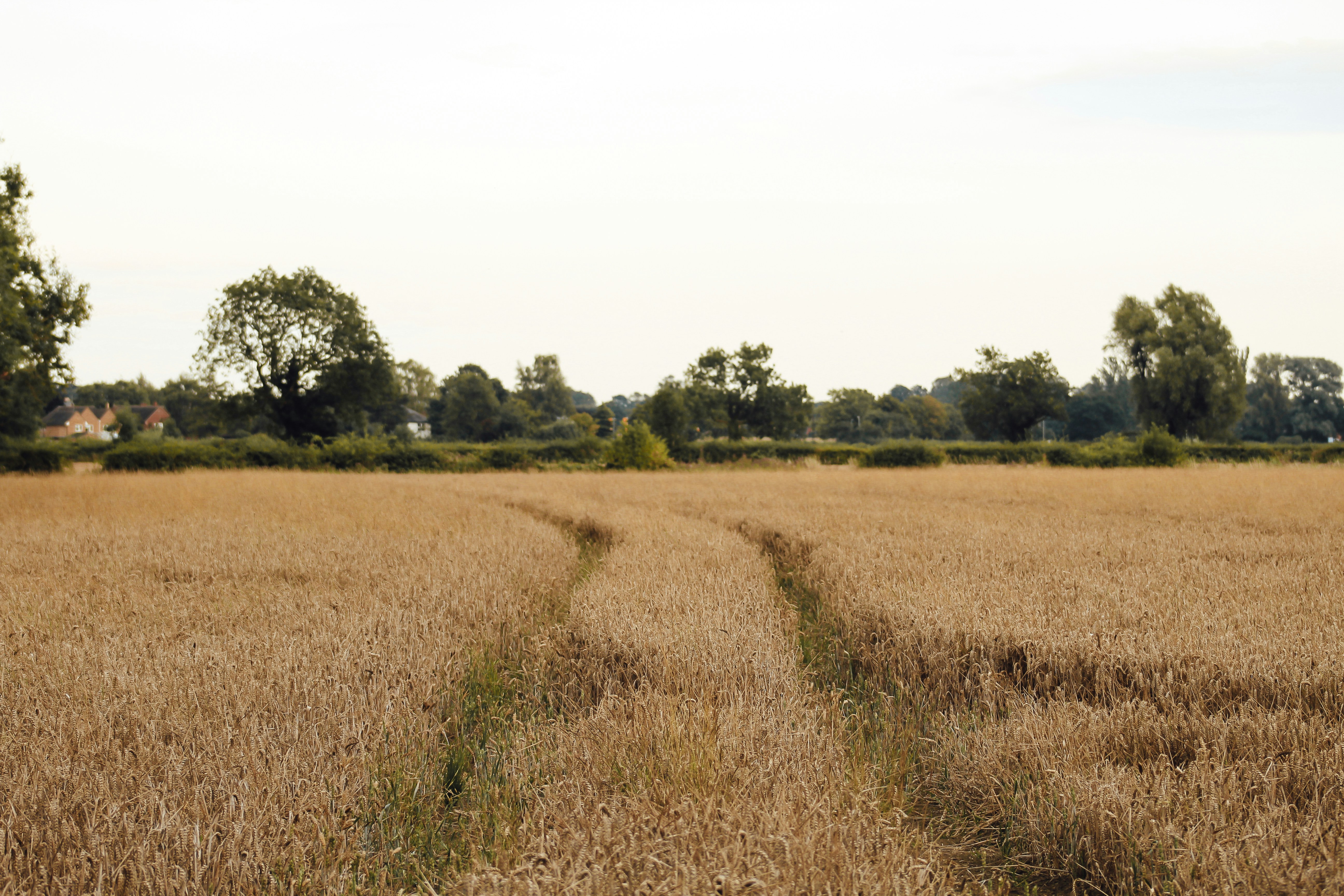 loughborough surrounds