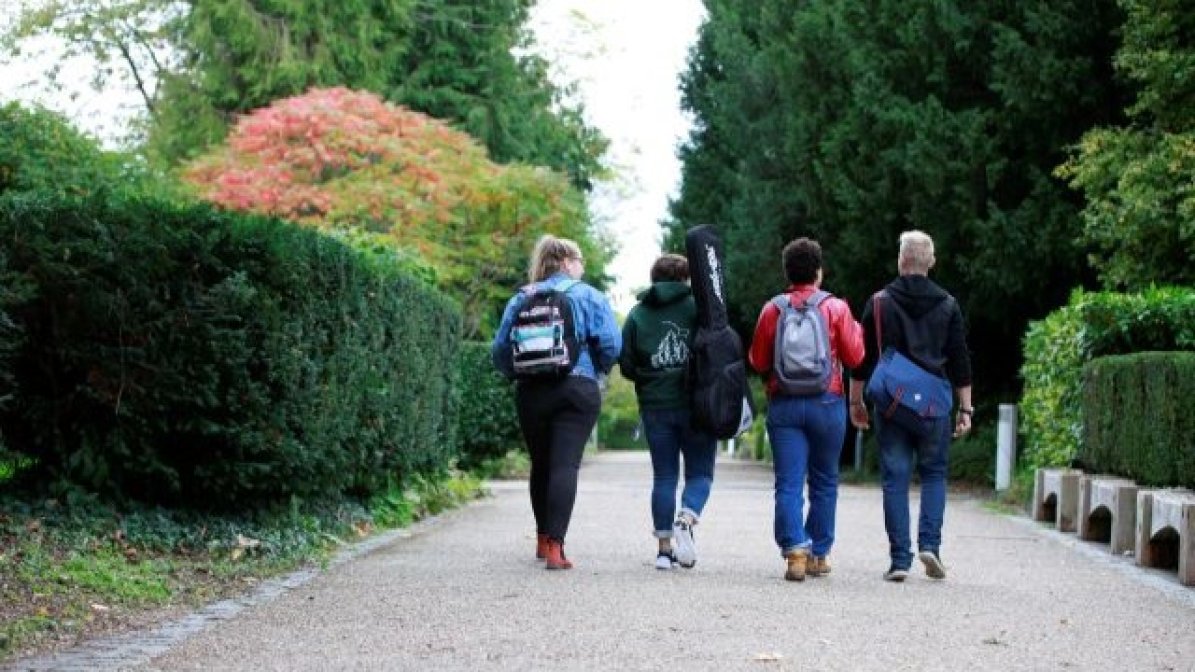 Students walking in a park