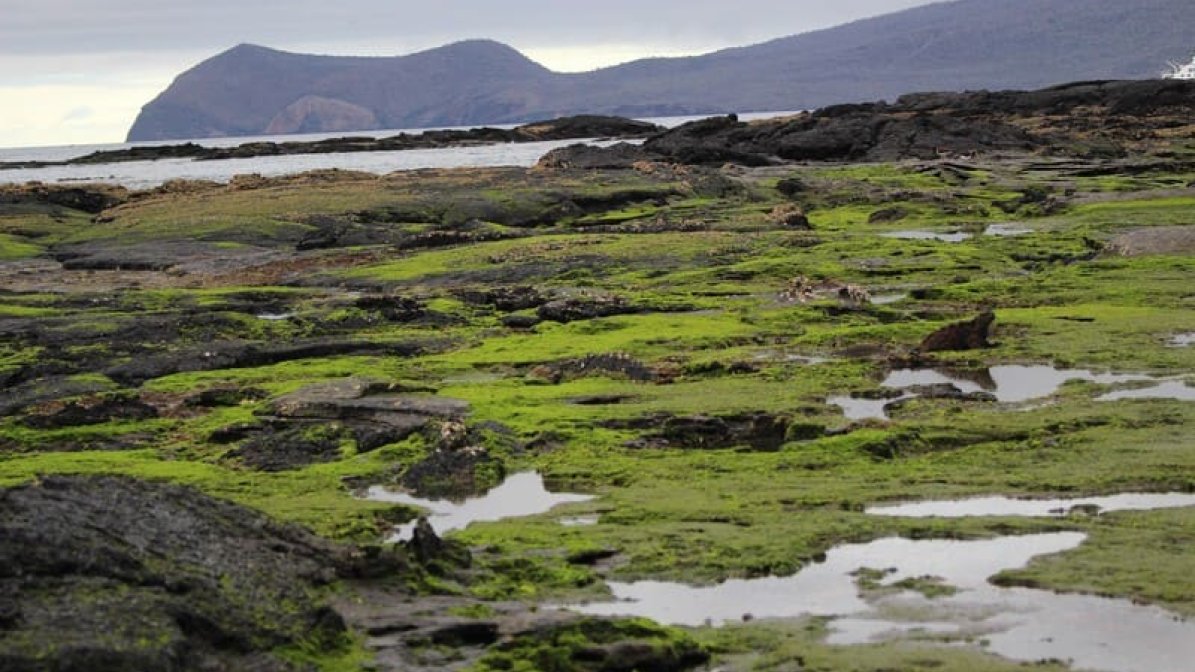 Landscape, Puerto Egas, Santiago
