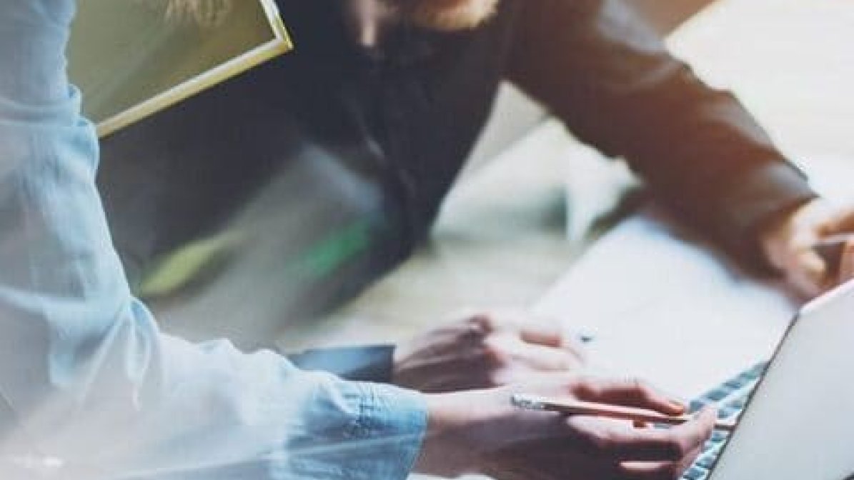 Advisers looking at UCAS reports on a laptop