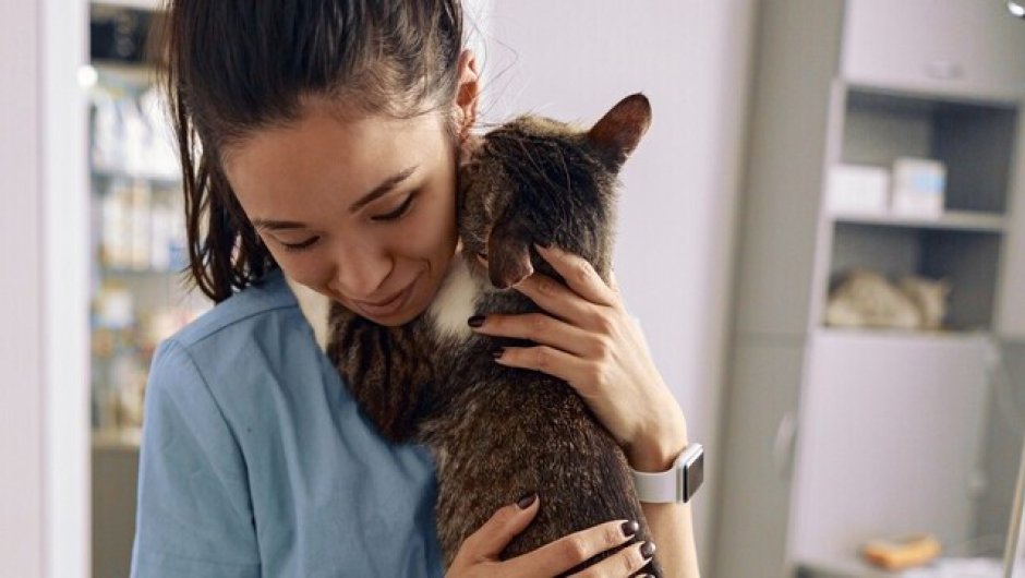 Vet nurse holding a cat