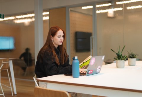Apprentice working on laptop