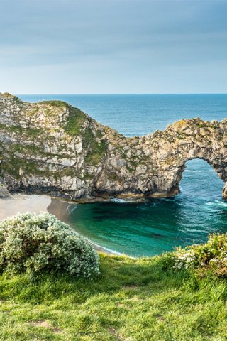 Dorset coast
