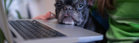 distance learning banner