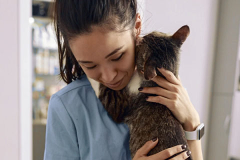Vet cuddling a cat